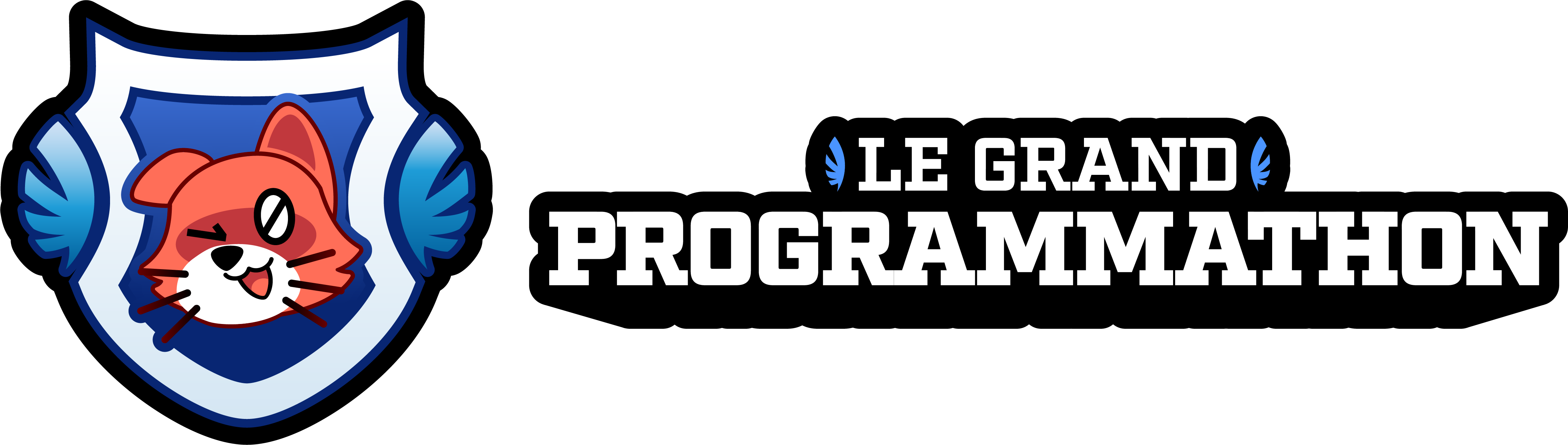 Le Grand Programmathon
